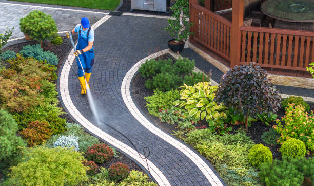 Best Roof Pressure Washing  in Farmerville, LA